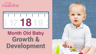 18 Months Old Babys Growth and Development Plus Activities amp Care Tips [upl. by Shandy757]