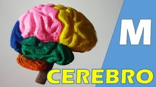 Maqueta Cerebro  Fácil [upl. by Neelhtac460]