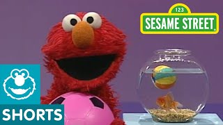 Sesame Street Play Ball  Elmos World [upl. by Adnoval]