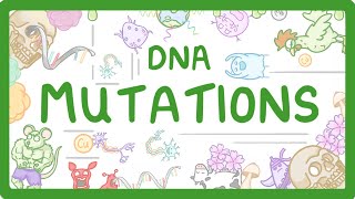 GCSE Biology  What are DNA Mutations 67 [upl. by Oleusnoc]