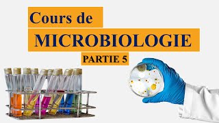 cours de microbiologie partie 5  la taxonomie bactérienne  nomenclature des microorganismes [upl. by Pears299]