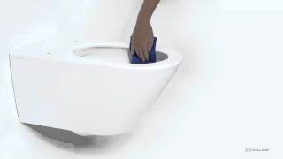 Ceramica Catalano  Wc NEWFLUSH® Rimless System  EN 2016 [upl. by Havard719]