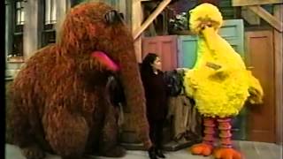 Sesame Street  Big Bird Wants a New Name Part 1 [upl. by Mulloy]