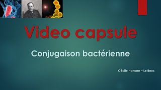 Video Capsule  Conjugaison bactérienne [upl. by Eiramave]