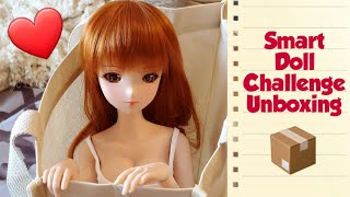 Smart Doll Challenge Unboxing [upl. by Carroll]