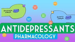 Antidepressants Pharmacology  Soton Brain Hub [upl. by Assilaj]