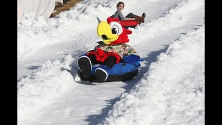 Margaritaville at Lanier Islands offers snow fastest snow tubing hill in North America [upl. by Trinette469]