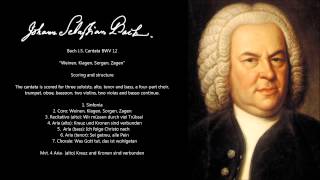 Bach JS Cantata BWV 12 [upl. by Brasca449]