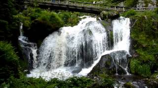 Der Triberger Wasserfall im Schwarzwald [upl. by Ycram153]