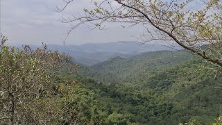 Serra do Japi [upl. by Hamlen]