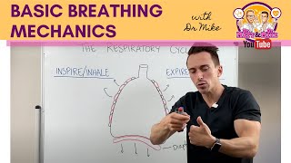 Basic Breathing Mechanics [upl. by Ynos]