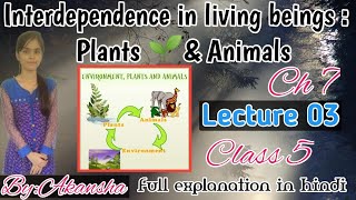 ICSE Board Class5 Science Ch7Interdependence in Living BeingsPlants and AnimalsLecture3 Hindi [upl. by Saunders917]