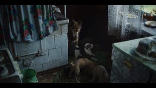 Chernobyl Episode 4 Scene  HBO  Pets Liquidation [upl. by Eenyaj]