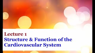 Lecture 1  Introduction to the Cardiovascular System [upl. by Gae]