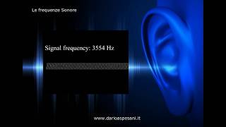 Le frequenze sonore da 20 a 19 995 hz Fai il test [upl. by Zelde413]