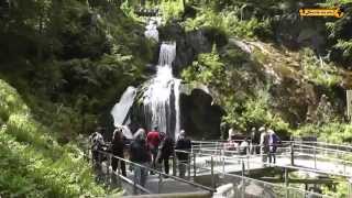 Triberger Wasserfälle Wasserfall Waterfall Black Forest Schwarzwald [upl. by Whatley]