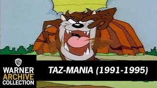 Open  TazMania  Warner Archive [upl. by Ramled]