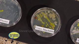 Growing Bacteria  Petri Dish [upl. by Aelegna]