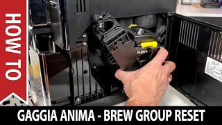 How to Reset a Gaggia Anima Brew Unit  Solves Drip Tray and Brew Unit Insertion Problems [upl. by Acsisnarf]