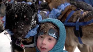 Recap The 2020 Iditarod Trail Sled Dog Race [upl. by Oynotna]