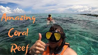 Snorkeling in Cancun Mexico  The Mesoamerican Reef  Excursions In Cancun Mexico [upl. by Eillor865]