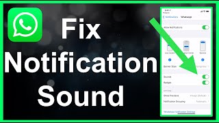 How To Fix WhatsApp Notification Sound EASY [upl. by Sherar]