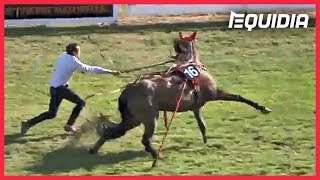 IL STOPPE UN CHEVAL EN PLEIN GALOP   Zap Equidia [upl. by Ggerk]