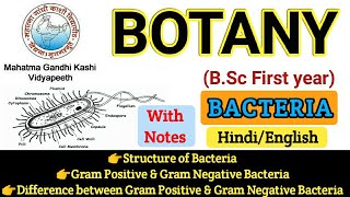 BSC First Year Botany  Botany First PaperStructure of BacteriaGram Ve amp Gram Ve Bacteria [upl. by Maighdiln]