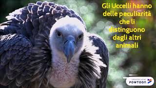 GLI UCCELLI  Maestra Katia LP [upl. by Oel]