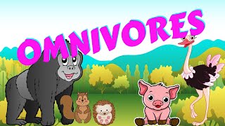 Omnivores  Types of Animal  Science for Kids [upl. by Brenda]