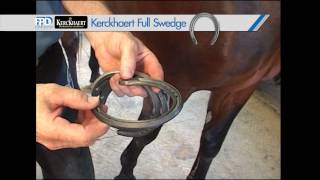 FootPro Series  Standardbred Evaluation [upl. by Naryt]