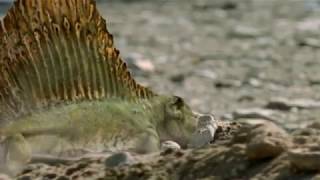 Walking with Monsters  Baby Dimetrodon rush [upl. by Garzon]