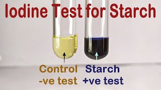 Iodine Test For Starch Practical Experiment [upl. by Mcclimans816]