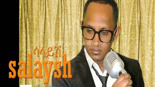 Bizuayehu Demissie Salaysh Ethiopian Music [upl. by Annavahs]