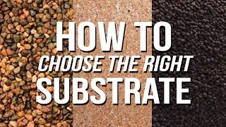 HOW TO Choose an Aquarium Substrate [upl. by Arinay]