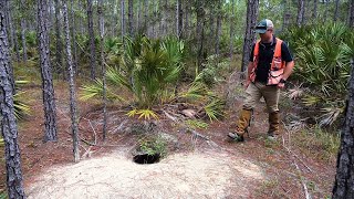 How Foresters Protect Gopher Tortoise Burrows [upl. by Berfield721]