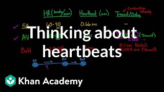 Thinking about heartbeats  Circulatory system physiology  NCLEXRN  Khan Academy [upl. by Eirrehc]