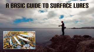 HOW TO WORK A SURFACE LURE  A BEGINNERS GUIDE [upl. by Leoj]