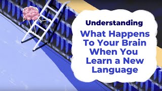 What Happens To Your Brain When You Learn a New Language  Understanding with Unbabel [upl. by Kenaz]