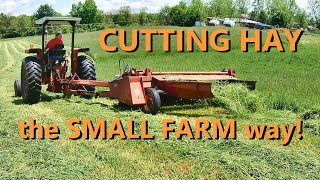 the basics of cutting hay [upl. by Josy]