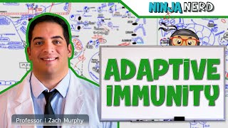 Immunology  Adaptive Immunity [upl. by Ryhpez727]