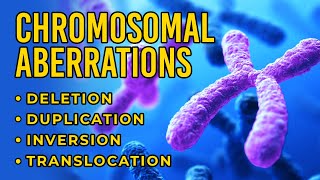 Chromosomal Aberrations  Deletion  Duplication  Inversion  Translocation [upl. by Yenduhc]