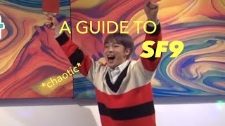 A Helpful Guide To SF9 [upl. by Sherrer]