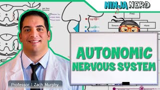 Neurology  Autonomic Nervous System [upl. by Ennaitsirk]