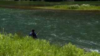 How to Choose a Spey Line [upl. by Grannie451]