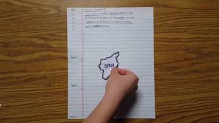 How to Prep an Extemp Speech [upl. by Calendra114]