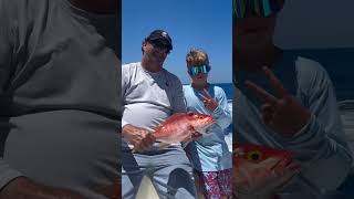 Snapper amp barrelfish with Danny Lombardo in Islamorada 🎣 Always a good time StanzFam rodsbydru [upl. by Ahsekar94]