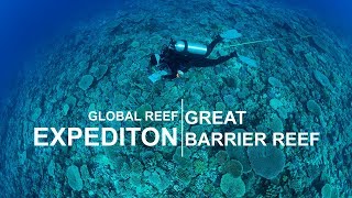 Global Reef Expedition Great Barrier Reef [upl. by Nirehtac]