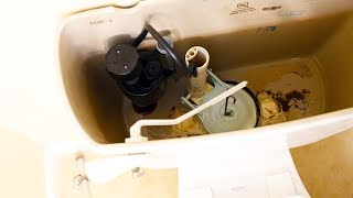 How to Change a Toilet Flapper Fix Running Toilet [upl. by Thurnau903]