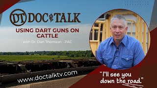 DocTalk Ep 322  Using Dart Guns on Cattle [upl. by Aisyram744]